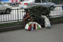 _MG_8447-550