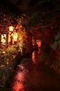 _MG_8630-550