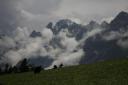 _MG_8713-550