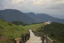 _MG_8729-550