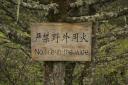 _MG_8736-550