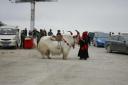_MG_8244-550