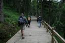_MG_8252-550
