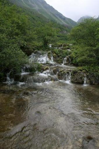 _MG_8292-550