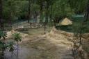 _MG_8315-550