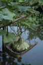 _MG_9385-550