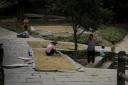 _MG_9432-550