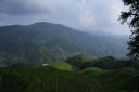 _MG_9464-550