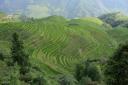 _MG_9466-550
