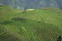 _MG_9469-550