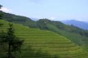 _MG_9483-550