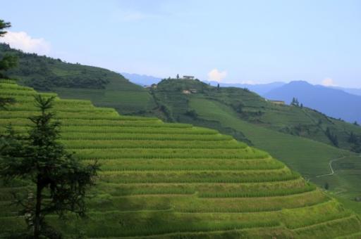_MG_9483-550