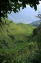 _MG_9494-550