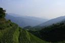 _MG_9502-550