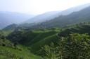 _MG_9505-550