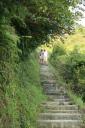 _MG_9513-550