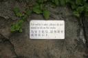 _MG_9671-550