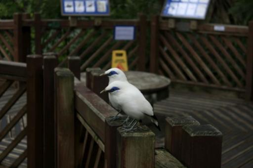 _MG_9744-550