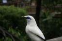 _MG_9753-550