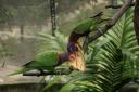 _MG_9758-550
