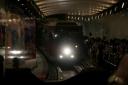 _MG_9851-550