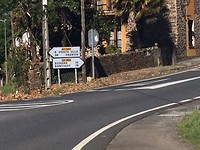 IMG_1237