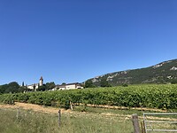 De wijngaarden van de languedoc