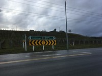 IMG_0607