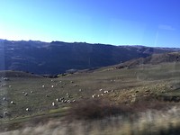 IMG_5747