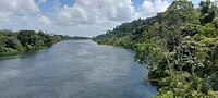 De Suriname rivier bij Afobaka