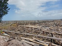 Weggeslagen zeewering