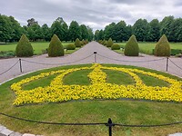 De Zweedse kroon van viooltjes
