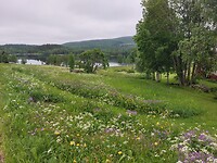Volop bloemen en mooie plekjes aan het water.