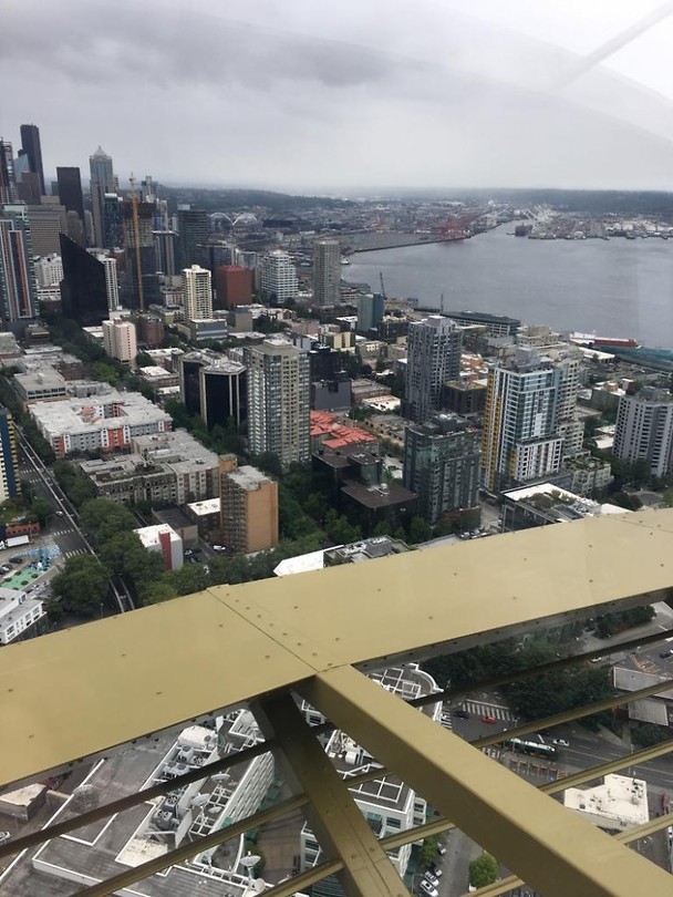 Uitzicht Space Needle