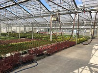 Skagit Gardens