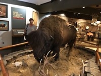 Charlo, National Bison range