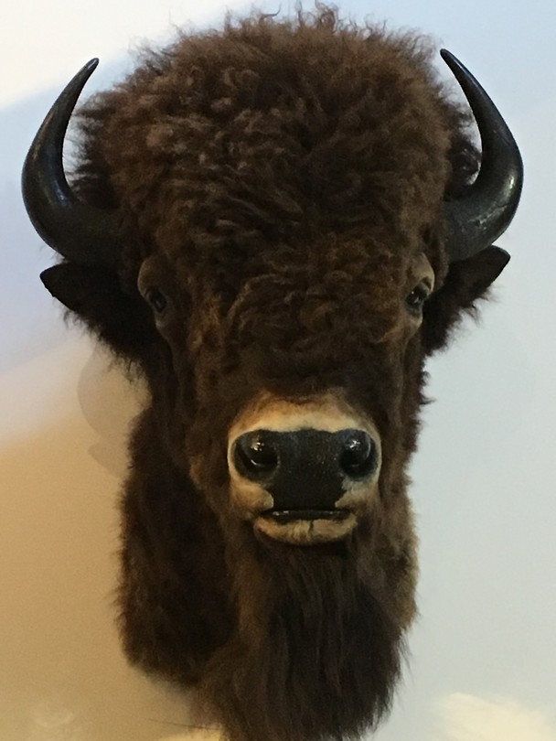 Charlo, National Bison range
