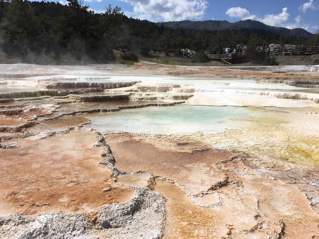Yellowstone park