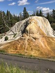 Yellowstone park