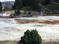 Yellowstonepark