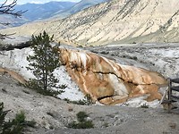 Yellowstone park