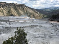 Yellowstone park