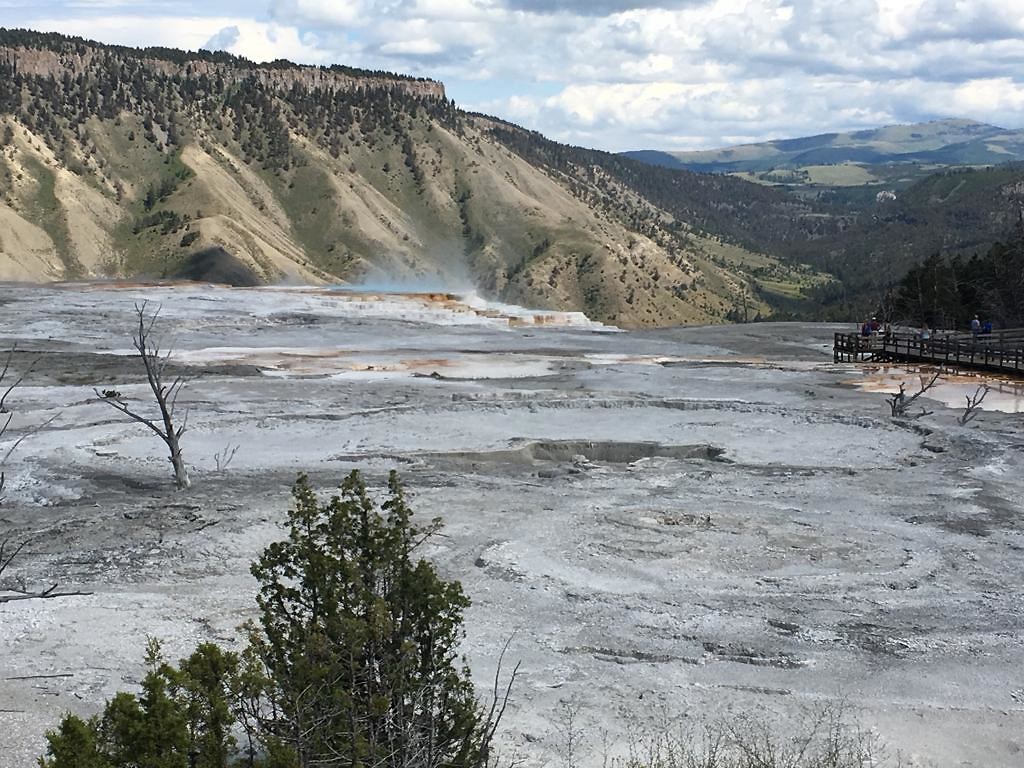Yellowstone park