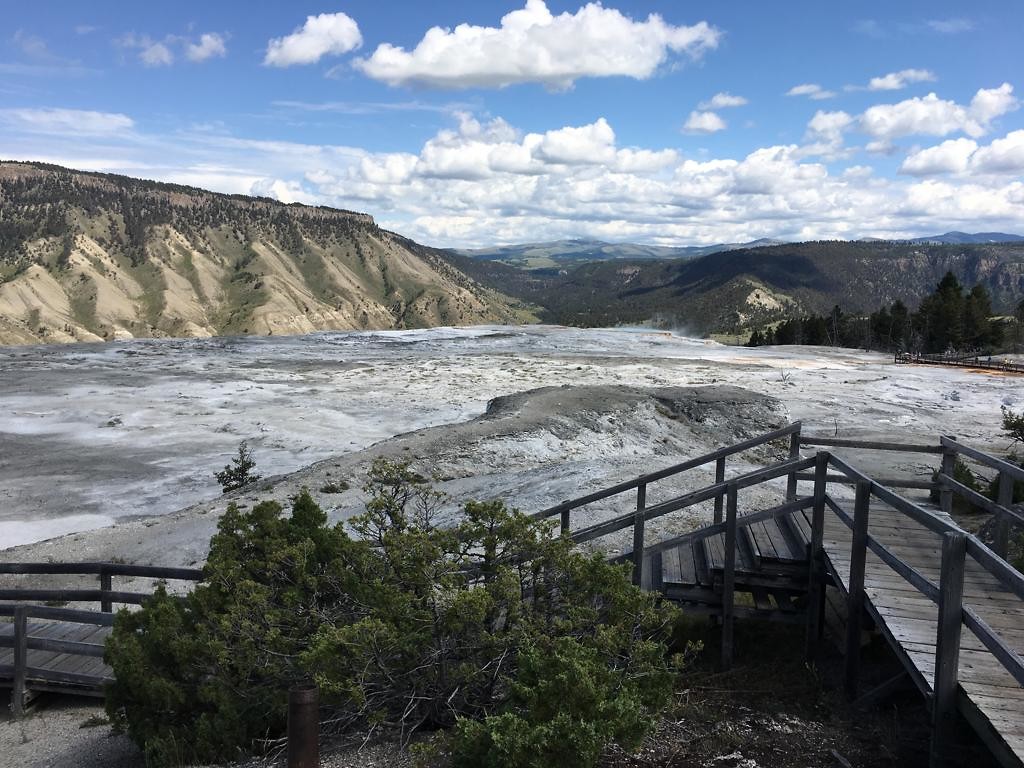 Yellowstone park