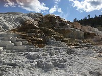 Yellowstone