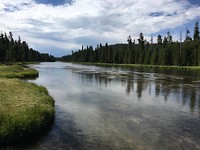 Yellowstone