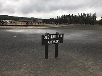 Yellowstone
