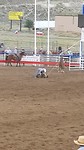 Rodeo