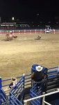 Rodeo