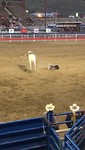 Rodeo